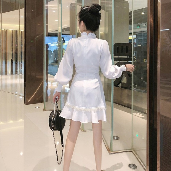 Praegune laiade varrukatega ja spitsikaelusega naiste kleit