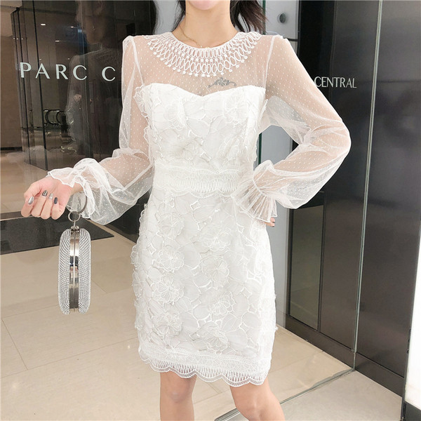 Stiilne pikkade varrukate ja pitsiga naiste kleit