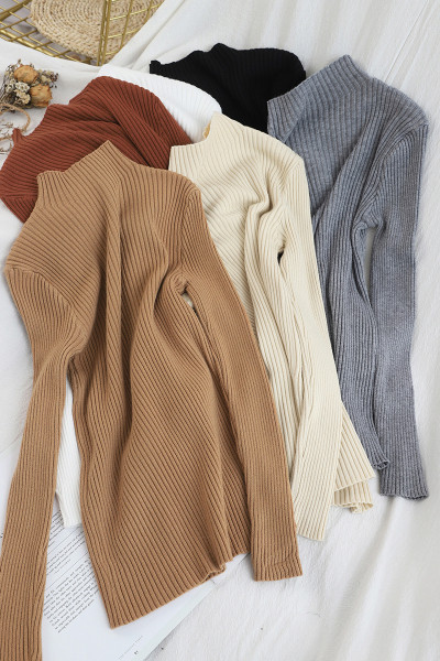 Moodne poolkõrge krae ja pikkade varrukatega naiste kampsun