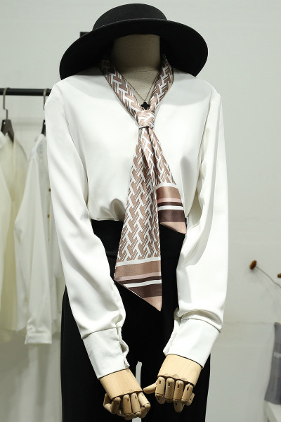 Uue mudeli lipsu ja pikkade varrukatega naiste särk