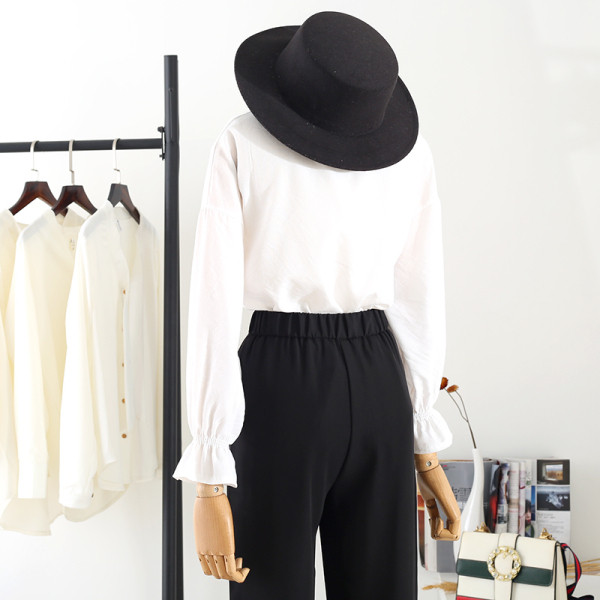 Uut mudelit lootosvarrukate ja klassikalise kraega naistesärk