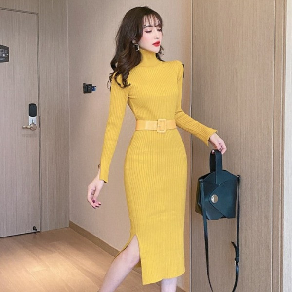 Stiilne lõhiku ja kõrge kraega naiste kleit