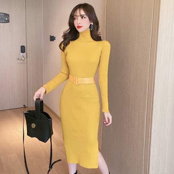 Stiilne lõhiku ja kõrge kraega naiste kleit