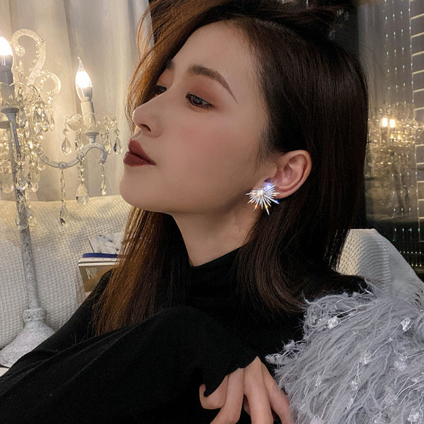 Elegantsed naiste hõbekõrvarõngad kividega