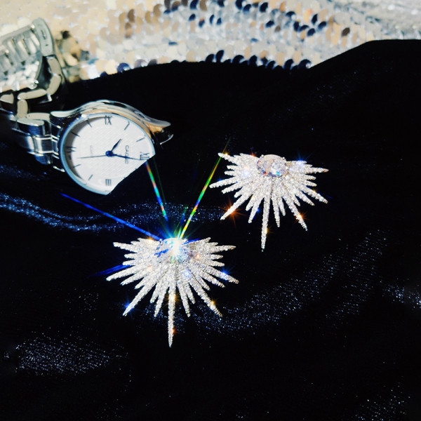 Elegantsed naiste hõbekõrvarõngad kividega