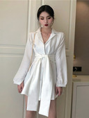 Stiilne naiste särk, lipsudega vöökohal