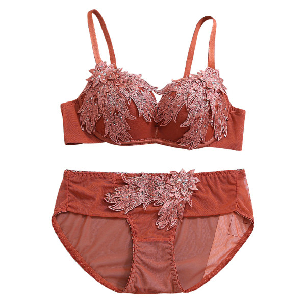 Σετ εσωρούχων σε  - μπικίνι σουτιέν με κέντημα