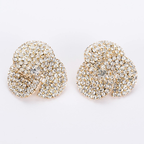 Elegantsed hõbedase kiviga naiste kõrvarõngad