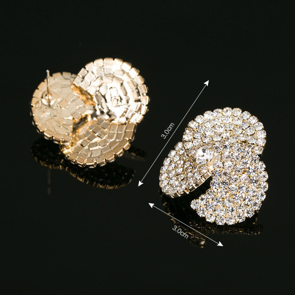 Elegantsed hõbedase kiviga naiste kõrvarõngad