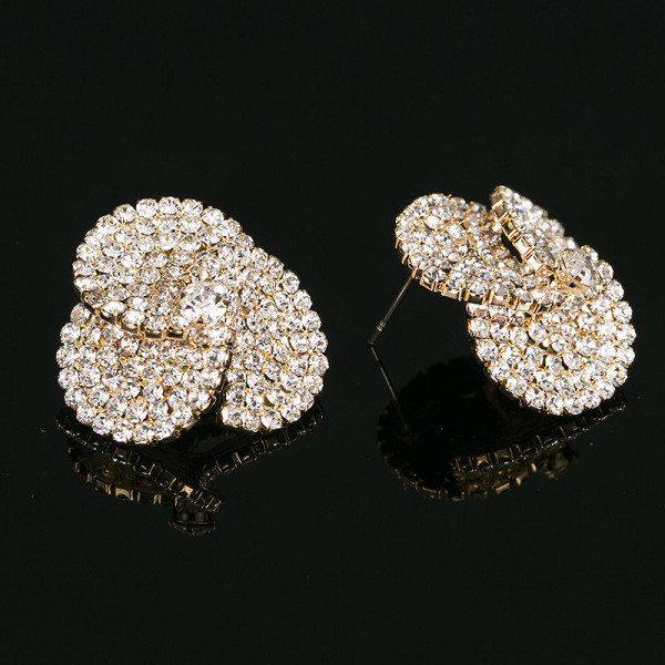 Elegantsed hõbedase kiviga naiste kõrvarõngad