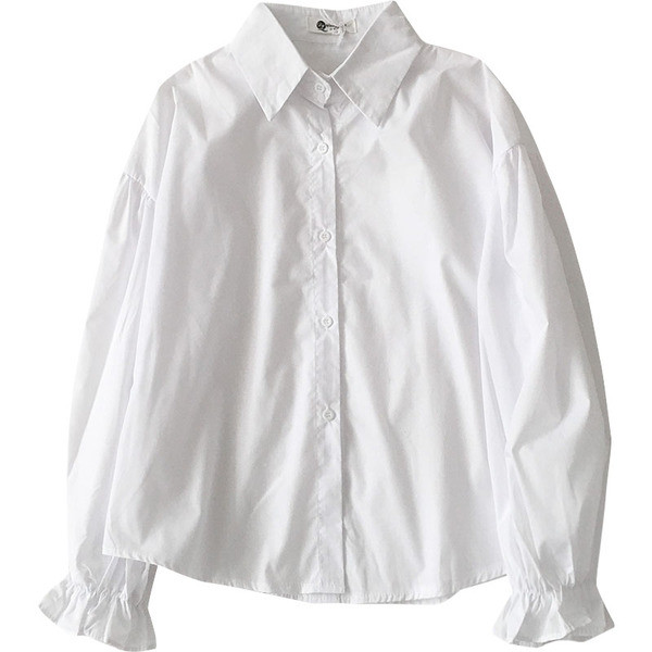 Ikdienas sieviešu krekls ar klasisku apkakli un garām piedurknēm