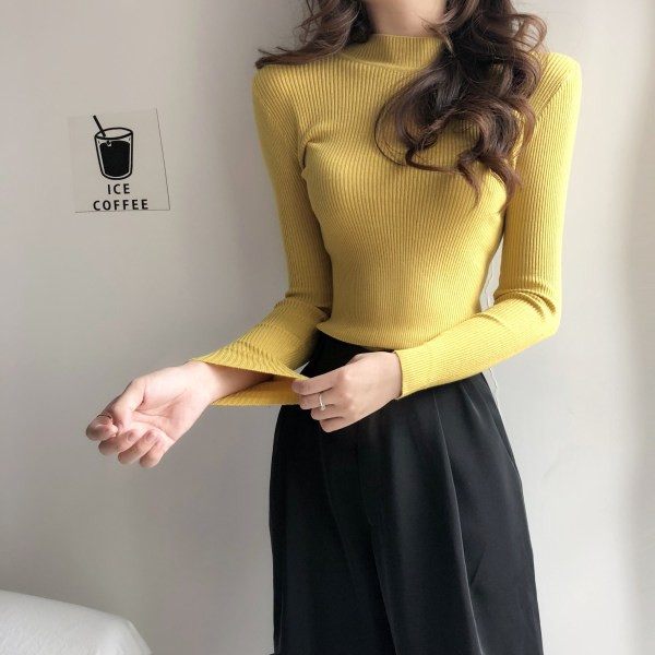 Naujo modelio spyruoklinė palaidinė su polo apykakle