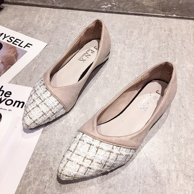 Sieviešu apavu smails modelis ar plakanu zoli