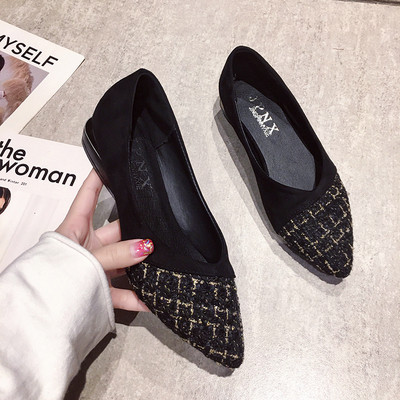 Sieviešu apavu smails modelis ar plakanu zoli