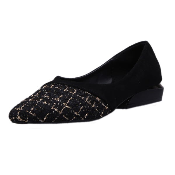 Sieviešu apavu smails modelis ar plakanu zoli