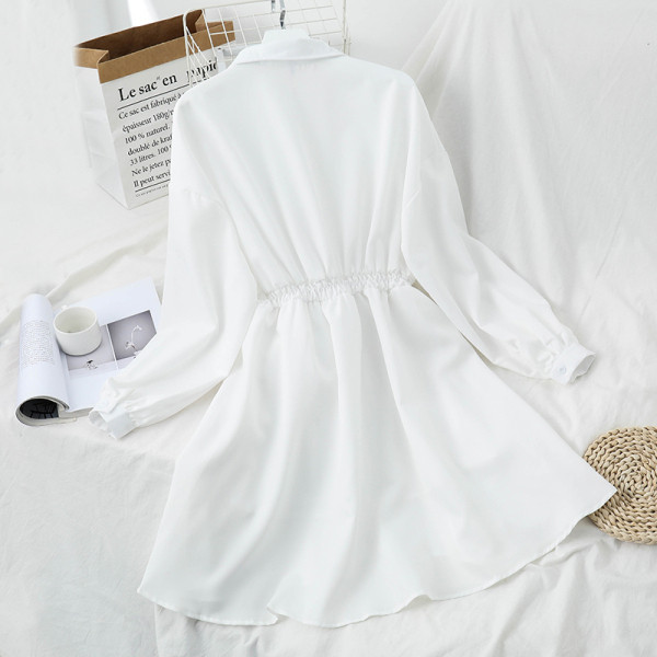 Sieviešu ikdienas kleita ar klasisku apkakli un garām piedurknēm - krekla tipa