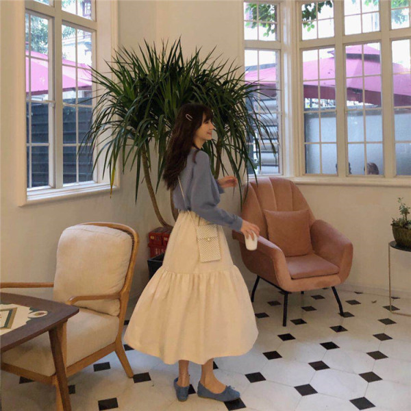 Kõrge vöökohaga beež naiste seelik