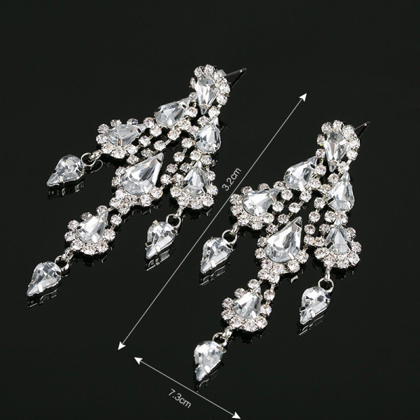 Stilingi moteriški kabantys auskarai su sidabriniais akmenukais