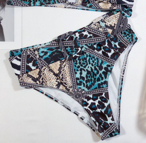 NOU Model de costum de baie din două piese cu imprimeu șarpe și pantaloni cu talie înaltă