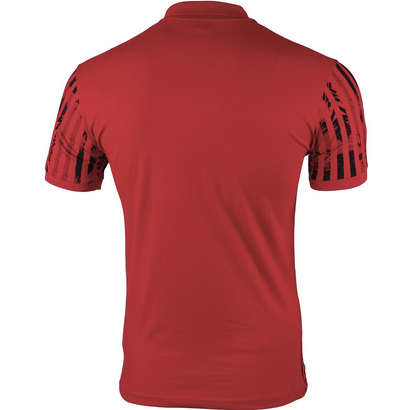 Slimfit Мъжка поло пике тениска с яка 1275_3