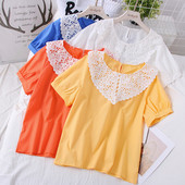 Bluza de dama model nou cu decolteu oval si maneci scurte