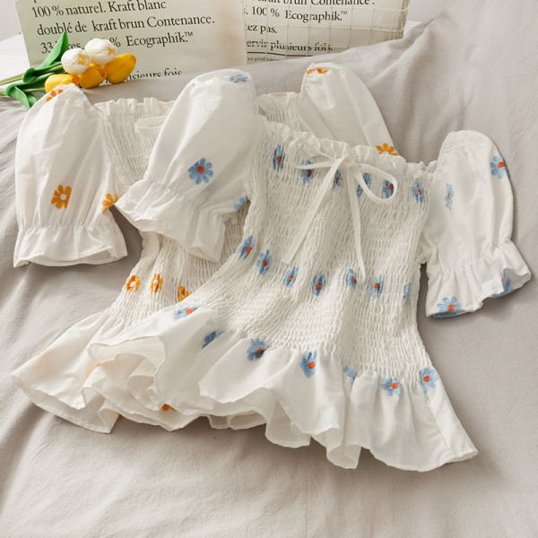 Moodne naiste pluus paela ja tikandiga