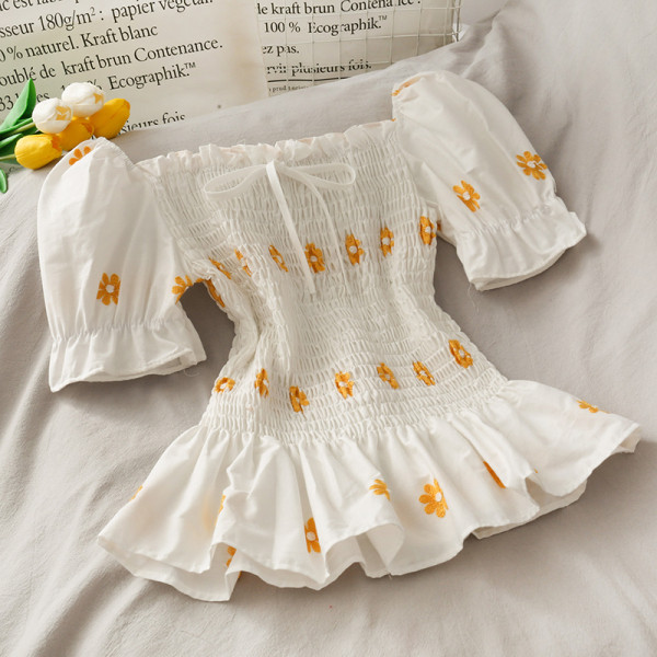 Moodne naiste pluus paela ja tikandiga