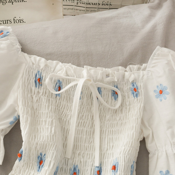 Moodne naiste pluus paela ja tikandiga