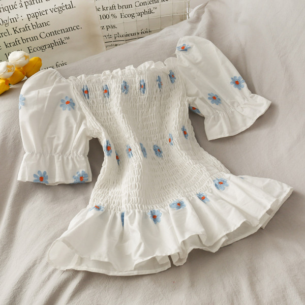 Moodne naiste pluus paela ja tikandiga