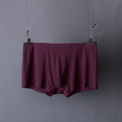 Elastīgie vīriešu bokseri - tīrs modelis