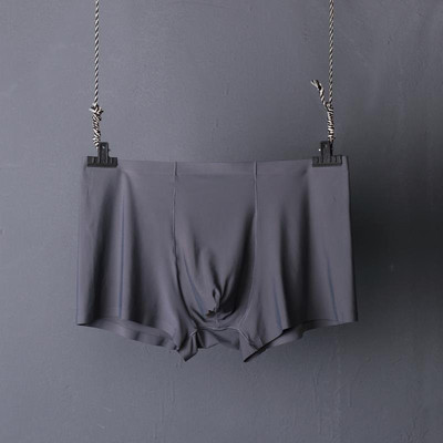 Elastīgie vīriešu bokseri - tīrs modelis