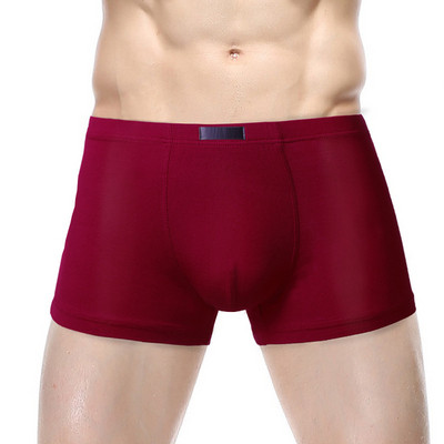 Vienkāršs vīriešu boksera modelis