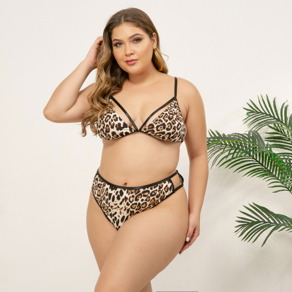 Loomatrükiga ja suurustega kuni 4XL intiimpesu