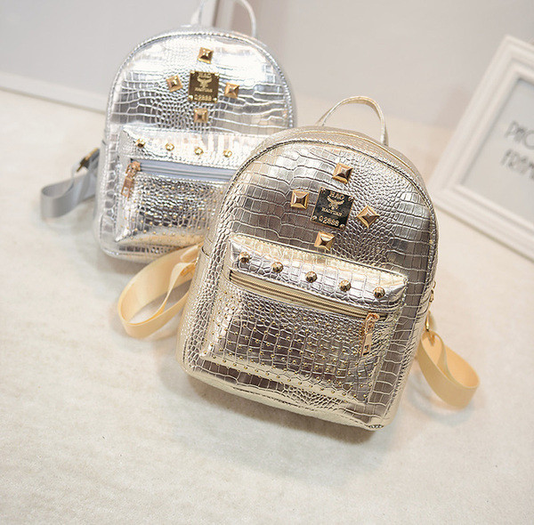 Moodne naiste ökonahast aasadega miniseljakott