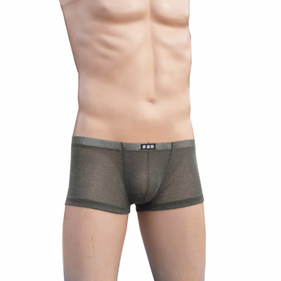 Νέο μοντέλο ανδρικά εσωρούχα  με λαμπερό αποτέλεσμα