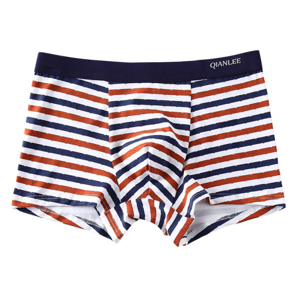 Ένα σετ δύο ριγέ ανδρικά μπόξερ