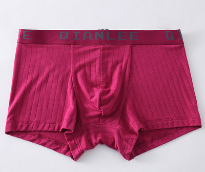 Meeste bokserpesu elastse vöökoha ja kirjaga