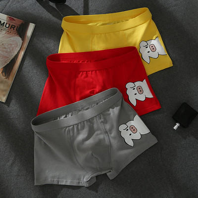 Rakendusega meeste poksijad kolmeosalises komplektis