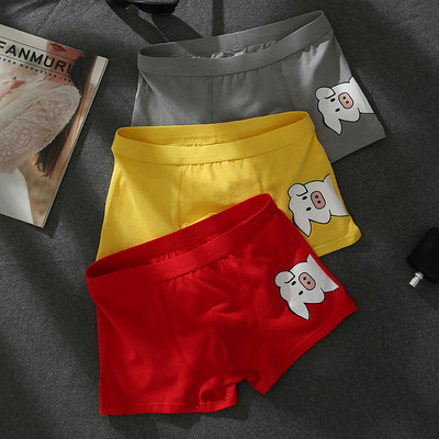 Rakendusega meeste poksijad kolmeosalises komplektis