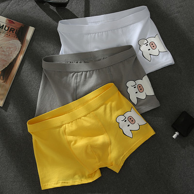 Rakendusega meeste poksijad kolmeosalises komplektis