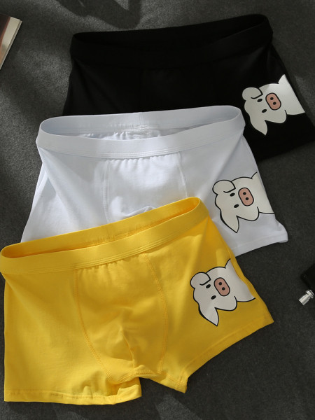 Rakendusega meeste poksijad kolmeosalises komplektis