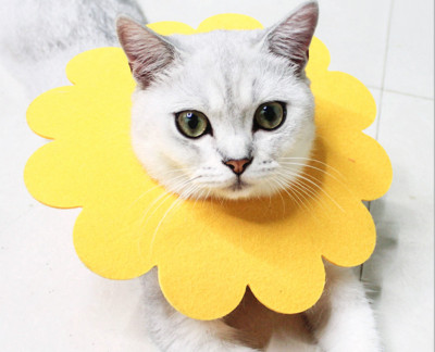 Gumijas apkakle zieda formā