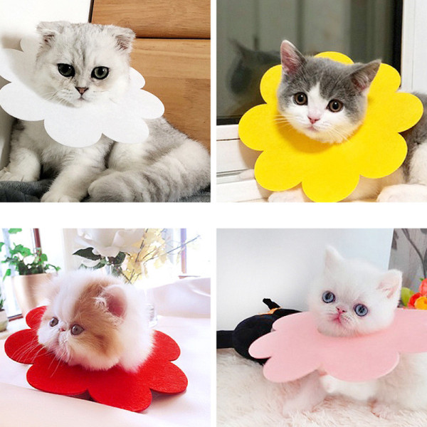 Gumijas apkakle zieda formā