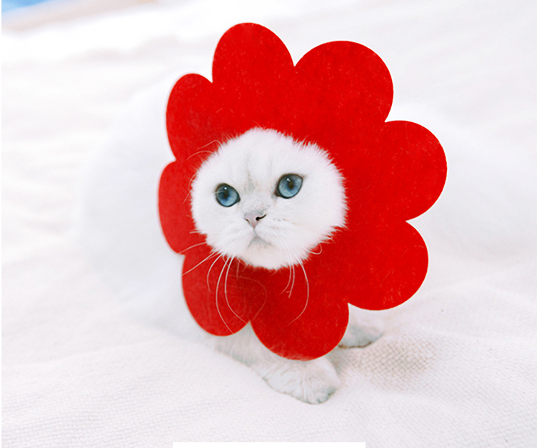 Gumijas apkakle zieda formā