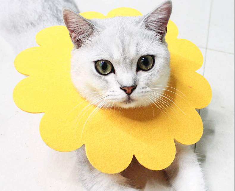 Gumijas apkakle zieda formā