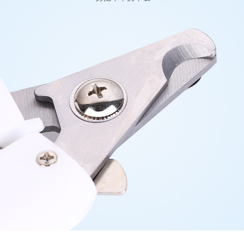 Käärid kassi küünte lõikamiseks - kaks mudelit