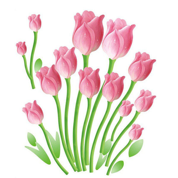 Neperšlampamas lipnus sieninis lipdukas su rožinėmis tulpėmis