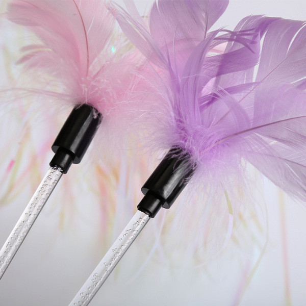 Jautra kaķu rotaļlieta ar pušķi