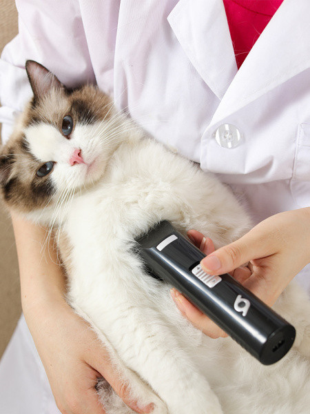 Lemmikloomade lõikur