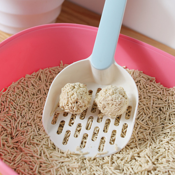 Plastikust labidas kassi tualettruumi puhastamiseks